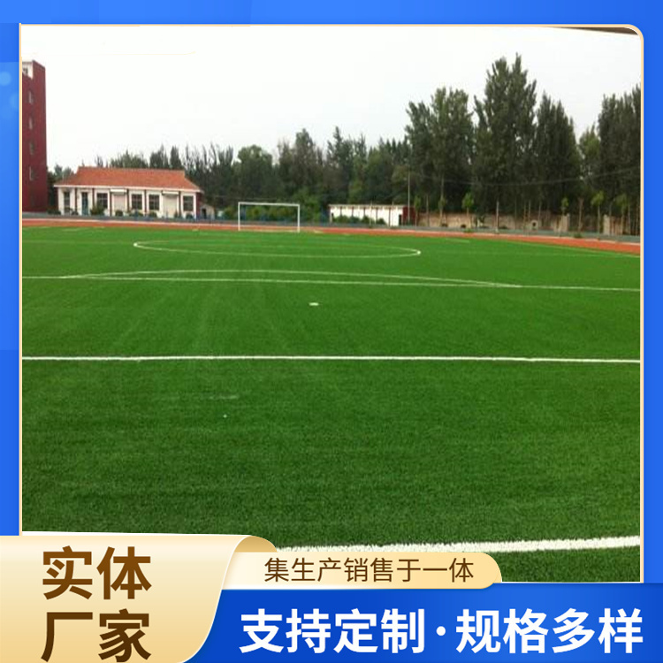 马鞍山市橡胶跑道人造草坪 - 一站式服务